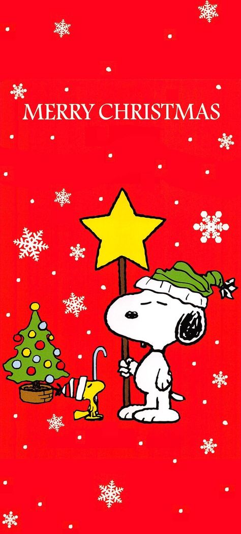 Peanuts Wallpaper, Woodstock Snoopy, Woodstock Peanuts, Peanuts Charlie Brown Snoopy, Snoopy Comics, Merry Christmas Wallpaper, Merry Christmas Pictures, Snoopy Images, Peanuts Snoopy Woodstock