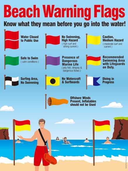 Beach Safety, Surfing Tips, Beach Flags, Beach Lifeguard, Camping Safety, Sup Stand Up Paddle, Orange Beach Alabama, Surf Vibes, Safety Posters