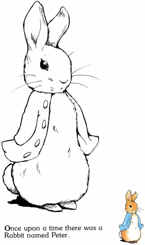 Peter Rabbit Line Drawing, Beatrix Potter Drawings Easy, Peter Cottontail Tattoo, How To Draw Peter Rabbit Step By Step, Peter Rabbit Sketch, How To Draw Peter Rabbit, Peter Rabbit Drawing Easy, Peter Rabbit Watercolor, Beatrix Potter Coloring Pages