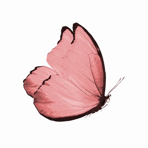 Butterfly Icon Aesthetic, Highlight Covers Instagram Pink, Cutout Aesthetic, Aesthetic Highlight Covers Instagram, Butterfly Widget, Iphone Widgets Aesthetic, Aesthetic Highlight Covers, Aesthetic Highlight Covers Instagram Pink, Widgets Aesthetic