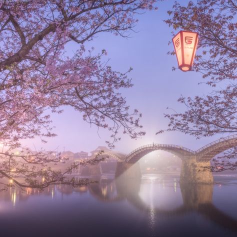 Cherry Blossom Japan, Lavender Aesthetic, Cute Pastel Wallpaper, Purple Aesthetic, Nature Aesthetic, Photo Look, Pretty Places, Fantasy Landscape, Pretty Pictures