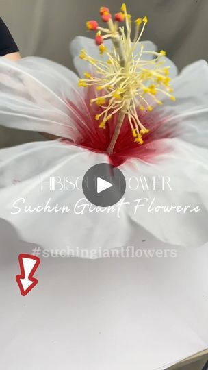 3.9K views · 268 reactions | Giant Flowers | How to make a giant organza hibiscus flower. We can deliver the flowers to anh place in the world. Contact to get more information #suchingiantflowers #handmade #handmadeflowers #organza #tutorial | Hoa Giấy Suchin | Suchin Giant Flowers | The Macarons Project · Too Sweet Organza Tutorial, Alter Flowers, Giant Flowers, Hibiscus Flower, Hibiscus Flowers, The Flowers, Handmade Flowers, Fall Crafts, Fabric Flowers