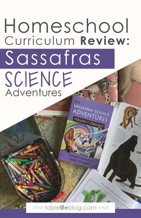 Curious about using Sassafras Science Adventures in your homeschool? Here's what you need to know about this story-based elementary science curriculum. Secular Homeschool, Homeschool Science Curriculum, Homeschool Elementary, Homeschool Kids, Science Curriculum, Free Homeschool, Unschooling, Learning Science, Elementary Science