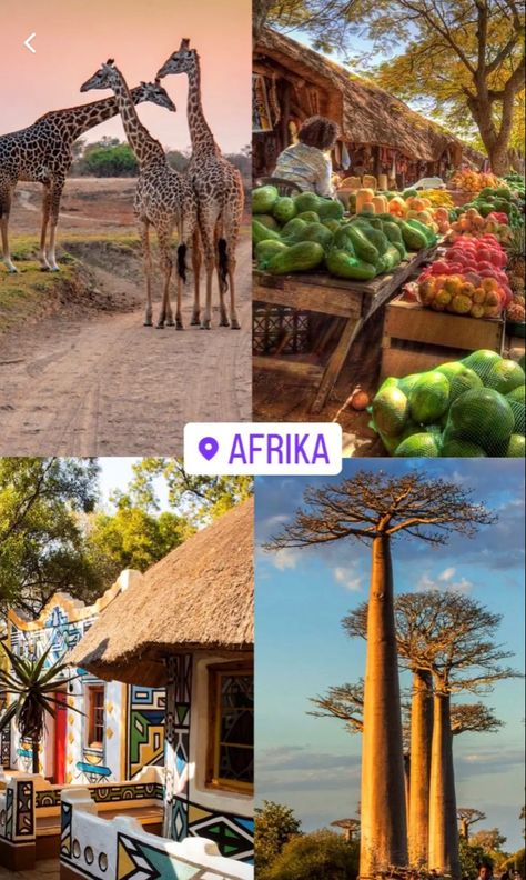 Africa Vacation Aesthetic, Africa Travel Aesthetic, Places In Africa, Africa Aesthetic, Africa Vacation, Quote Travel, Holiday Travel Destinations, Top Places To Travel, Aesthetic Luxury