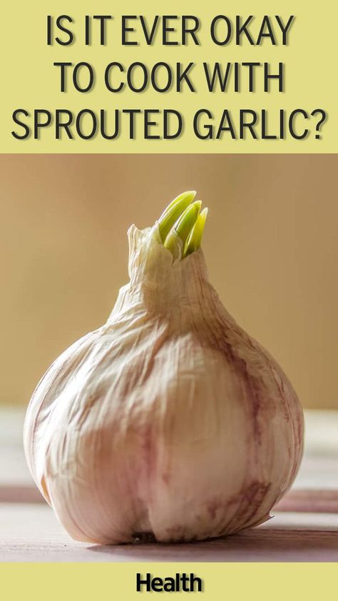 Is it safe to cook with sprouted garlic? Does a green sprout mean garlic is past its prime? Chefs weigh in on how that little sprout can affect the taste of a dish, and if you need to toss. Types Of Garlic, Garlic Sprouts, Cooking Mussels, Garlic Health, Cheesy Mashed Potatoes, Food Handling, Cooking With Olive Oil, Cooking Pan, Healthy Mom