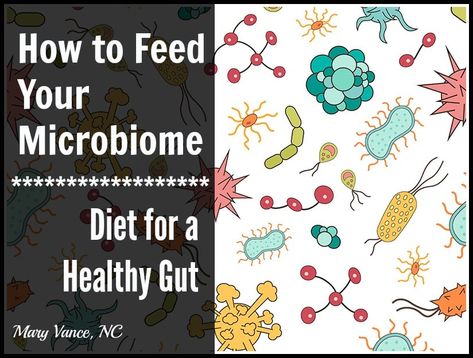 How to Feed Your Microbiome: Diet for a Healthy Gut - Mary Vance, NC Healthy Gut Foods, Microbiome Recipes, Gut Foods, Gut Biome, Microbiome Diet, Cleaning Your Colon, Not Losing Weight, Healthy Probiotics, Nutrition Consultant