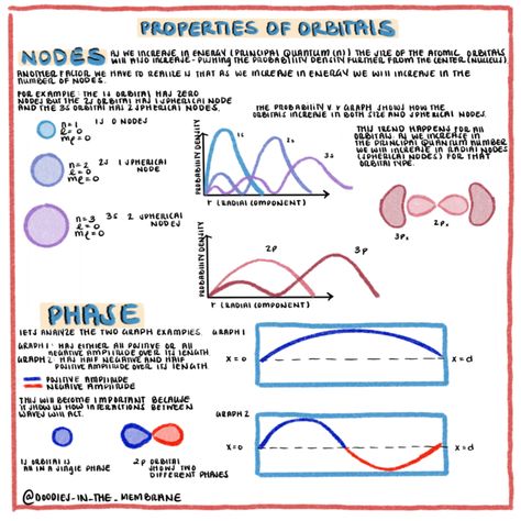 Chemistry Facts, Gen Chem, Atomic Orbitals, Quantum Chemistry, Chem Notes, General Chemistry, Animated Infographic, Physics Concepts, Chemistry Classroom