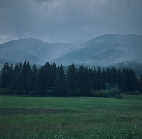 Grey, mountains, open grass feild, evergreen trees, rain, gray clouds Rainy Mountains, Rainy Landscape, Grey Mountains, Mountain Printable, Gray Clouds, Atmospheric Photo, Mountain Aesthetic, Nasa Earth, Mountain Background