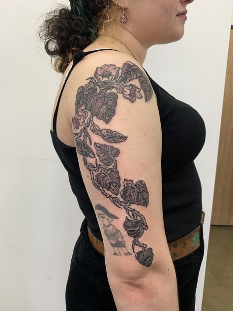 On instagram~ @ andersonstreettattoo @ steadyteddytattoo #tattoo #blackandgreytattoo #linework #plants #pothos #flowertattoos Devils Ivy Tattoo, Pothos Tattoo, Plants Pothos, Ivy Tattoo, Devils Ivy, Tattoo Time, Flower Tattoo, Tatting, Ivy