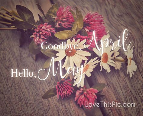 Hello May Month, Goodbye April Hello May, Goodbye April, May Pictures, April Hello, May Month, Hello Goodbye, Hello May, Months In A Year