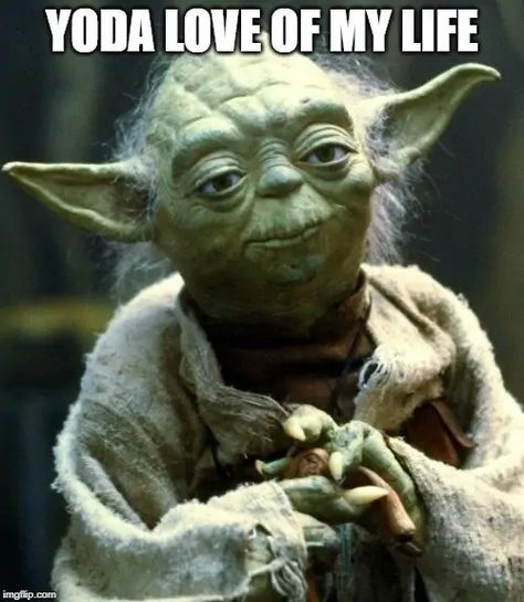 55+ Epic Star Wars Love Quotes that only geeks will understand. Perfect for Valentine's day, wedding, and anniversary cards. #starwarsquotes #starwarsart #lovequotes Yoda Quotes, Yoda Meme, Star Wars Meme, Yoda Star Wars, Master Yoda, Dark Vador, Fishing Quotes, Travel Humor, Star Wars Yoda