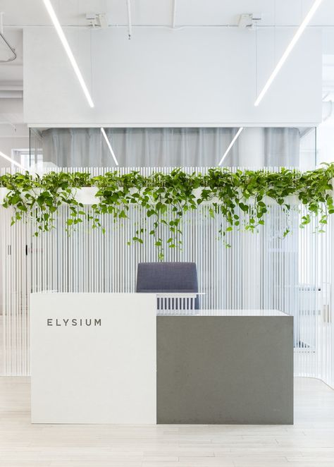 reception area with plant wall and lights reflected in glass Receptionist Desk Decor, Reception Back Wall, Office Plants Ideas, Office Plant Wall, Plant Wall Design, Receptionist Area, Check In Desk, Simple Reception Desk, Modern Office Reception