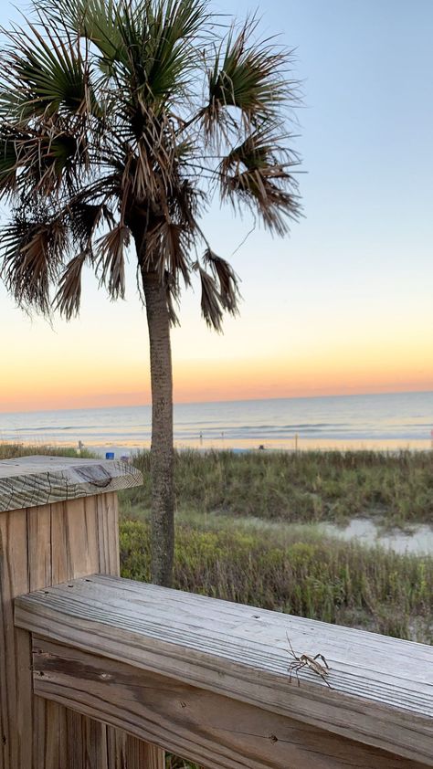 Myrtle Beach House, South Carolina Aesthetic Myrtle Beach, Myrtle Beach Wallpaper, Sumter South Carolina, Myrtle Beach Sunset, Charleston Wallpaper, Myrtle Beach Aesthetic, Mrtyle Beach, Charleston Sc Aesthetic