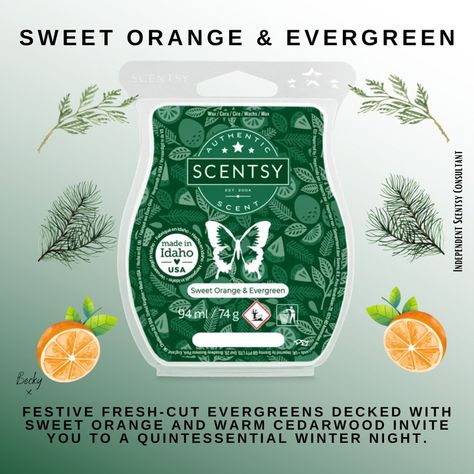 Festive fresh-cut evergreens decked with sweet orange and warm cedarwood invite you to a quintessential winter night. #Cedarwood #FreshCutEvergreens #SweetOrange #SweetOrange&EvergreenScentsyBar Check more at https://www.thecandleboutique.co.uk/product/sweet-orange-evergreen-scentsy-bar/ Candle Boutique, Scentsy Bar, Scentsy Wax Bars, Scentsy Bars, Cube Design, Scentsy Consultant, Winter Night, Paraffin Wax, Sweet Orange