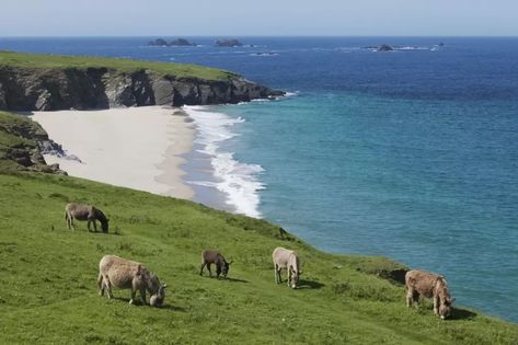 Best things to do in County Kerry, Ireland | CN Traveller Skellig Michael, Irish Travellers, Kerry Ireland, Irish Countryside, County Kerry, Ireland Landscape, Voyage Europe, The Milky Way, Europe Summer