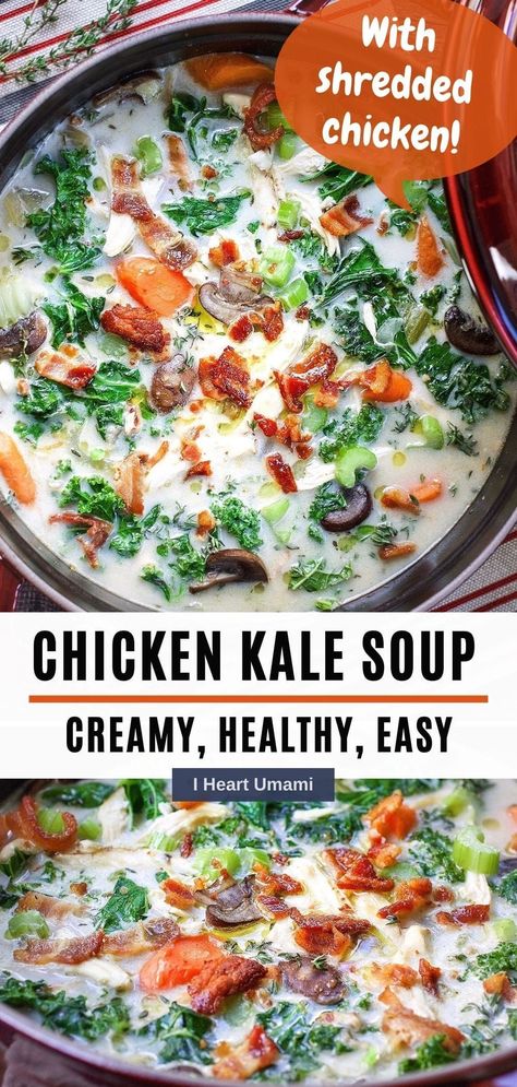 This Chicken Kale Soup uses cooked and shredded chicken or turkey and fresh kale greens is a healthy and delicious soup, plus easy to make! #chickenkalesoup #kalesoup #glutenfreerecipes #souprecipes #creamysoup #thanksgivingleftoverrecipes #holidayrecipes Creamy Chicken Kale Soup, Kale And Chicken Soup, Broccoli Kale Soup, Chicken Kale Soup Recipes, Kale Soup Recipes Healthy, Soups With Kale, Recipes Using Kale, Chicken And Bean Soup, Keto Stew