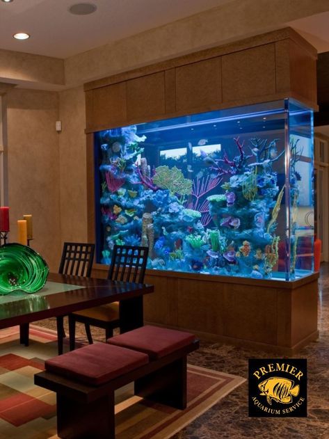 Home Aquarium Ideas, Fish Tank Wall, Custom Aquarium, Wall Aquarium, Amazing Aquariums, Cool Fish Tanks, Fish Tank Design, Aquarium Terrarium, Bawah Air