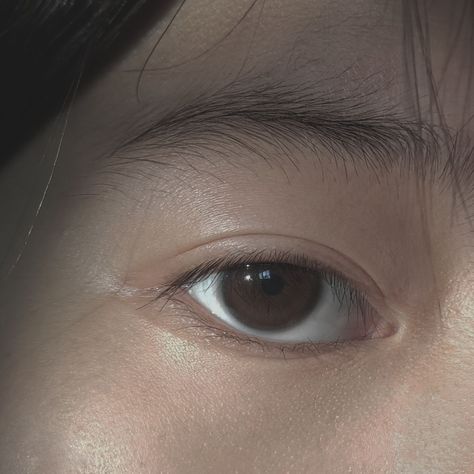 Head Anatomy, Ayano Aishi, Eye Close Up, Brown Eye, Kushina Uzumaki, Makeup Eyes, Eye Photography, Eyes Makeup, Intp