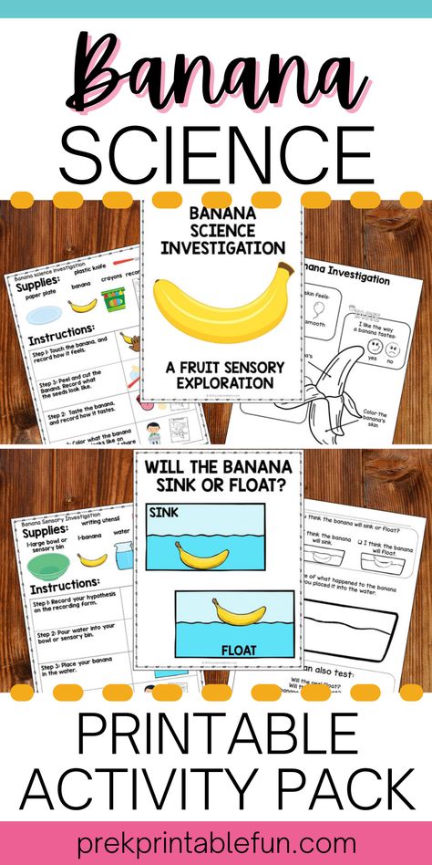 Teaching preschoolers about scientific processes is so much fun! Exploring fruit is a simple way to teach children basic scientific terminology, making observations, creating a hypothesis and asking scientific questions Preschool Scientific Method, Science For Preschoolers Activities, Fruit Science Preschool, Fruit Science, Theme Fruits For Preschoolers, Scientific Process For Kids, Simple Science Experiments For Preschool, Banana Science Experiment, Science With Apples