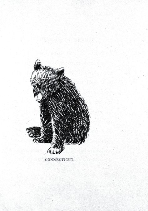 LOVE this for a tattoo...reps my Allie Bear :) Maybe small on the back of my neck, or inside of the wrist? Baby Bear Tattoo, Bear Tattoos, Animal Bear, Bear Drawing, Bear Tattoo, Boy Drawing, Bear Photos, Free Printable Art, Bear Illustration