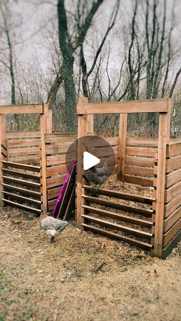 Katie Krejci, RD | The Homesteading RD on Instagram: "My compost bins are one of the most asked-about things on our homestead!  This is probably the most complicated design that you could go for when it comes to compost bins, but they work SUPER well!   I love that the slatted design in front keeps the pile neat while allowing for good airflow. Plus, it’s easy to pull the finished compost out by removing all of the front boards.  What you’ll need: -4 4x4 posts that are 8’ long (bury in the ground 2’) -16 5/4th decking boards that are 8’ long (chop all of them in half) -2 2x4 boards that are 8’ long (cut one in half to use as the top brace, then chop the rest into the angled bracings to hold the front slat boards  The most challenging part is deciding what type of wood you want to use for t Compost Sifter Diy, Compost Bin Ideas, Wooden Compost Bin, Outdoor Compost Bin, Composting 101, Allotment Ideas, Compost Bin Diy, Compost Bins, Decking Boards