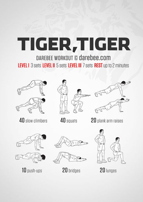 “Tiger, tiger, burning bright In the forests of the night, What immortal hand or eye Dare frame thy fearful symmetry?” William Blake. 1757–1827 When you talk about “fearful symmetry” you know the subtext is animal power. This workout may not quite... Tiger Body, Neila Rey Workout, Neila Rey, Hero Workouts, Basic Training, Tiger Tiger, Printable Workouts, Martial Arts Workout, William Blake