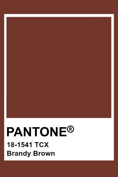 Pantone Brandy Brown Brandy Color Palette, Brown Pantone Palette, Pantone Colors Brown, Dark Red Pantone, Pantone Brown Shades, Dark Brown Pantone, Pantone Brown, Brown Pantone, Pantone Tcx