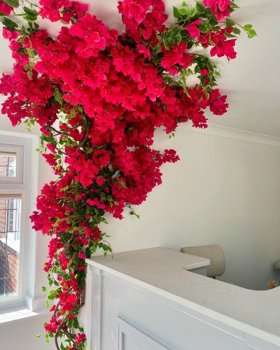 Bougainvillea installation Bougainvillea Tree, Backyard Pergola, Bougainvillea, Flower Garlands, Tree Decor, Front Garden, Tree Branches, Artificial Flowers, Flower Designs