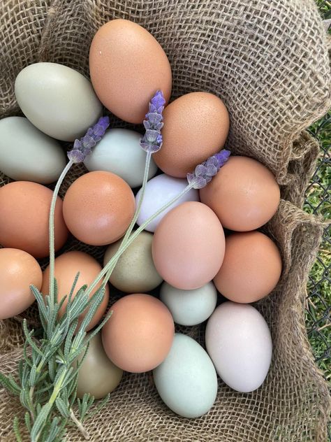 Liam’s Coop - Farm Fresh Eggs $6/dozen or $8/18 pack Local... | Facebook Farm Fresh Eggs, Fresh Eggs, Farm Gardens, Farm Fresh, Coop, Pick Up, Thank You