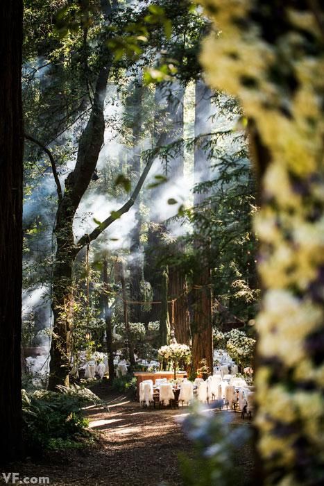 Sean Parker's wedding. Sean Parker Wedding, Redwood Forest Wedding, Wedding Slideshow, How To Dress For A Wedding, Big Sur Wedding, Extravagant Wedding, Enchanted Wedding, Forest Theme, Modern Fantasy