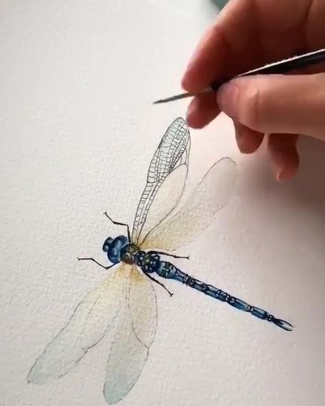 Dragonfly Drawing, Dragonfly Painting, Watercolor Dragonfly, Dragonfly Art, Diy Watercolor Painting, Watercolor Painting Techniques, 수채화 그림, Watercolor Paintings Tutorials, Watercolor Art Lessons