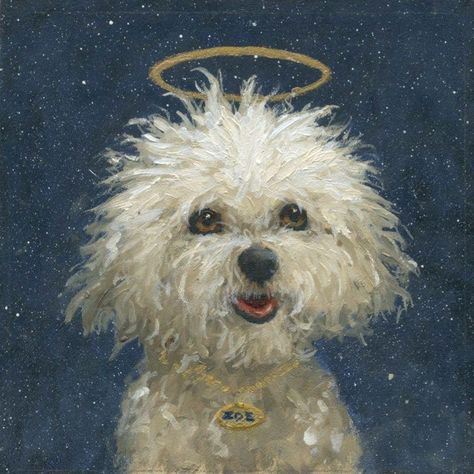 Lulu in heaven! Pets In Heaven, Dog Angel Drawing, Maltipoo Painting Easy, Dog In Heaven Drawing, Dog In Heaven, Dog Heaven Painting, Maltese Painting Acrylic, Angel Dog Painting, Bichon Frise Art