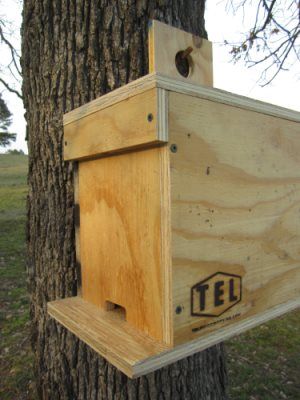 TEL Woodworking Build Bee Boxes, Bee Hive Plans How To Build, Bee Nuc, Beekeeping Diy, Bee Syrup, Wild Bee House, Wood Bee Trap, Honey Bee Farming, Bee Hive Stand