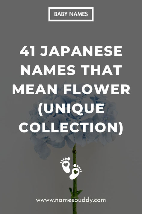 41 Japanese Names That Mean Flower Flower Names And Meanings, Japanese Flower Names, Blue Flower Names, Nature Names For Boys, Japanese Last Names, Flower Names For Girls, Japanese Boy Names, Japanese Names And Meanings, Boy Name Meanings