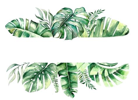 Premium Photo | Watercolor tropical leaves geometric frame Watercolor Jungle Leaves, Leaf Frame Border, Leaves Border Design, Pragmatic Utopia, Monstera Background, Tropical Leaf Background, Jungle Frame, Jungle Border, Watercolor Tropical Leaves