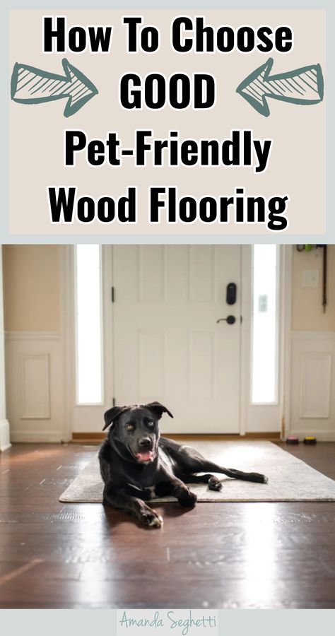 How To Choose GOOD Pet-Friendly Wood Flooring Best Wood Floors For Dogs, Best Flooring For Dogs, Best Floors For Dogs, Dog Friendly Flooring, Sustainable Home Design, Best Wood Flooring, Pet Friendly Flooring, Wood Floor Colors, Eco Friendly Flooring