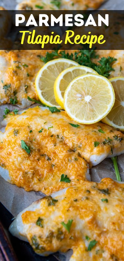 Baked Catfish Recipes Oven Healthy, Parmesan Crusted Tilapia Baked, Tilapia Recipes Baked, Easy Baked Tilapia, Mamagourmand Recipes, Oven Baked Tilapia, Tilapia Recipes Easy, Baked Tilapia Recipes, Grilled Dinner Recipes