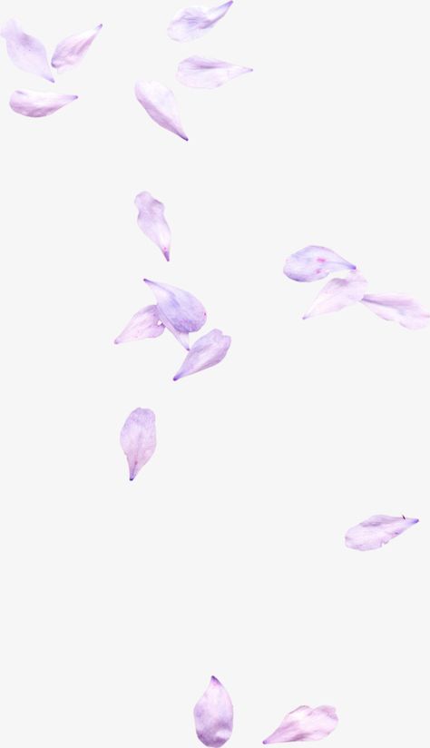 Floating Material, Purple Petals, Leaf Background, Png Transparent Background, Png Transparent, Background Images, Pink Purple, Png Images, Tulips