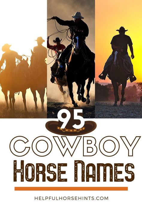 Western Names For Business, Cowboy Name Generator, Country Horse Names, Horse Names Ideas, Western Horse Names, Western Horse Names List, Horses Tips, Horse Name Ideas, Equestrian Ranch