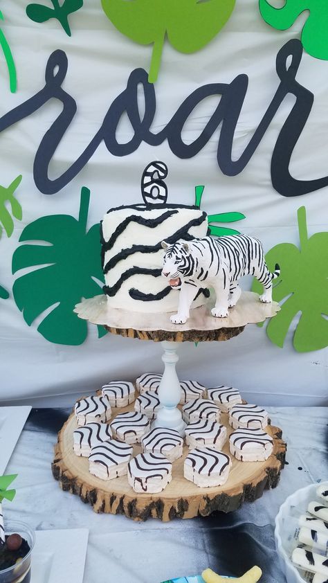 White Tiger Birthday Party, Zebra Cakes Little Debbie, White Tiger Cake, Tiger Cookies, Jungle Birthday Cakes, Zebra Cakes, Tiger Birthday Party, Tiger Cake, Tiger Jungle