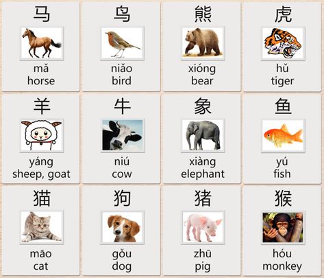 These #characters are probably among some of the most ancient #Chinese #words. Just like body parts, many of these characters look somewhat similar to the #animals they represent. Chinese Animals, Chinese Worksheet, Cantonese Language, Chinese Flashcards, Mandarin Chinese Languages, Chinese Vocabulary, Learn Chinese Characters, Mandarin Lessons, Bahasa China