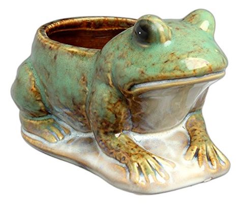 Planter Clay, Clay Statue, Frog Planter, Paint Pottery, Ceramic Frogs, High Gloss Paint, Hill Park, Garden Pottery, Frog Design