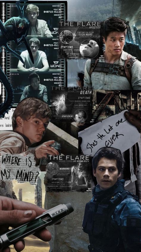 Maze Runner Collage, The Maze Runner Wallpaper, Maze Runner Wallpaper, Runner Wallpaper, The Maze Runner, Aesthetic Moodboard, Newt, Maze Runner, Collage