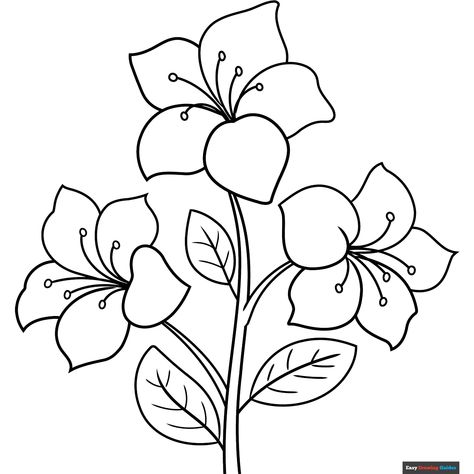 Free Azalea Coloring Page for Kids Azalea Drawing, Traceable Drawings Free Printable, Letter H Coloring Page, Embroidery Templates Free Printable, Flower Coloring Pages Free Printable, Outline Of Flowers, Flower Coloring Sheets, Easy Drawing Guides, Easy Flower Drawings