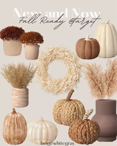 Light Color Fall Decor, Home Goods Fall 2023, Minimalist Neutral Fall Decor, Neutral Harvest Decor, Beige Fall Decor, Fall Decor Neutral Colors, Boho Fall Decor Living Room, Modern Fall Coffee Table Decor, Organic Fall Decor