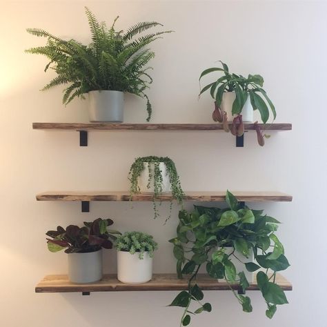 Modern Wall Shelf, Modern Entryway, Plant Shelf, Solid Wood Shelves, Modern Shelving, Shelves In Bedroom, Art Deco Furniture, Plant Shelves, Room Board