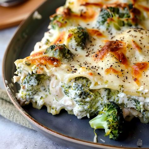 Chicken Broccoli Lasagna, Chicken And Broccoli Lasagna, Broccoli Lasagna Recipe, Broccoli Lasagna, Creamy Chicken And Broccoli, Chicken Lasagne, Classic Lasagna Recipe, Grandma's Recipes, Traditional Lasagna