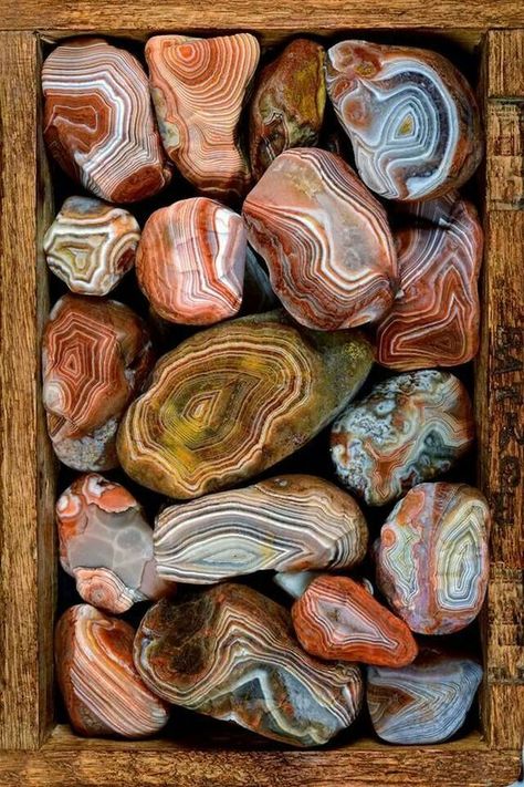 The MN State gem: Beautiful Lake Superior Agates - found on both north (MN) and south (WI) shores of Lake Superior. - Agates are semi precious stones so common on Lake Superior beaches no one pays much attention. Lake Superior Agates, Pretty Rocks, Beautiful Rocks, Mineral Stone, Minerals And Gemstones, Rocks And Gems, Lake Superior, Gems And Minerals, Stone Rocks