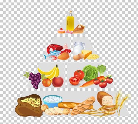 Pyramid Food, Healthy Eating Pyramid, Fiber Diet, Food Pyramid, Diet Healthy, Fiber Foods, Diet Food, Dietary Fiber, Nutrition Recipes