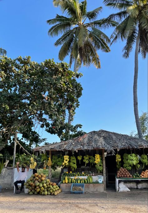 Banana stand in Salalah, Oman Middle East Aesthetic, Salalah Oman, Oman Travel, Arab Culture, About World, Salalah, World Photography, Travel Inspo, Dream Destinations